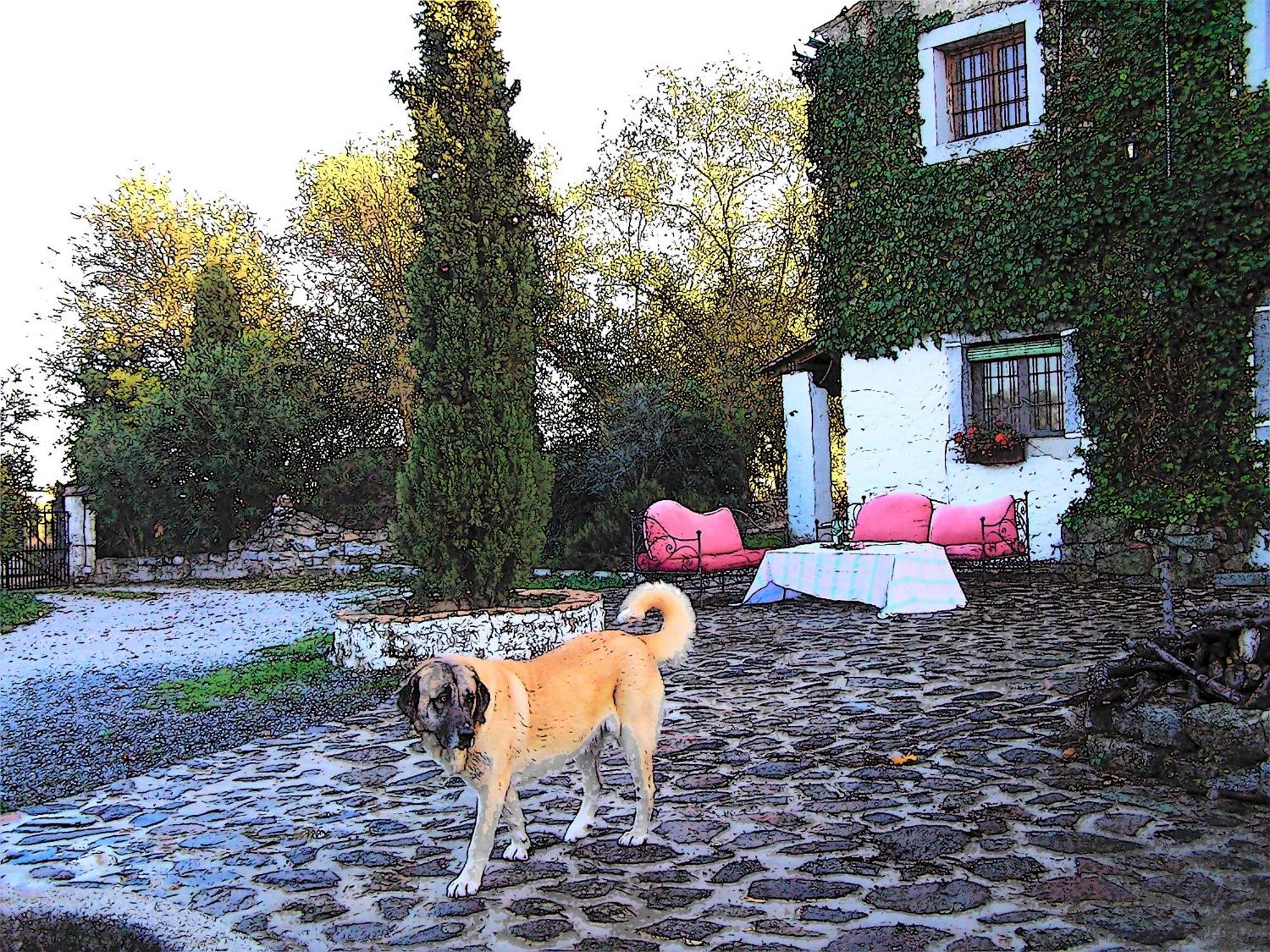 بوزوبلانكو Casa Rural Cortijo Del Zoco Bajo المظهر الخارجي الصورة